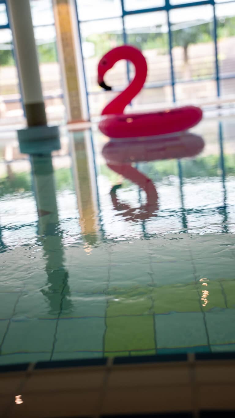 Flamingo_Pool