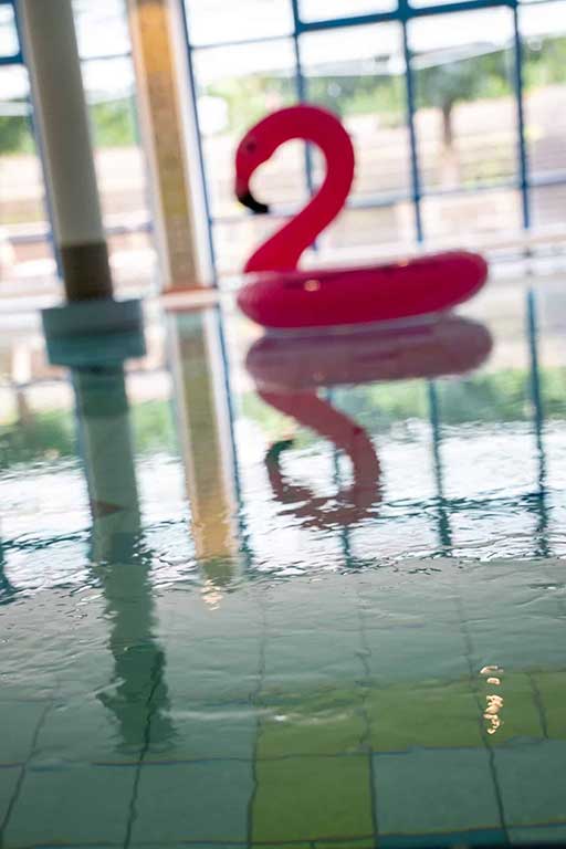 Flamingo-Pool