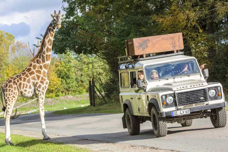 Serengeti-Park